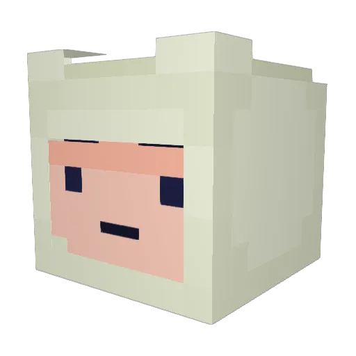 ImNolasco Minecraft avatar head, 3D render