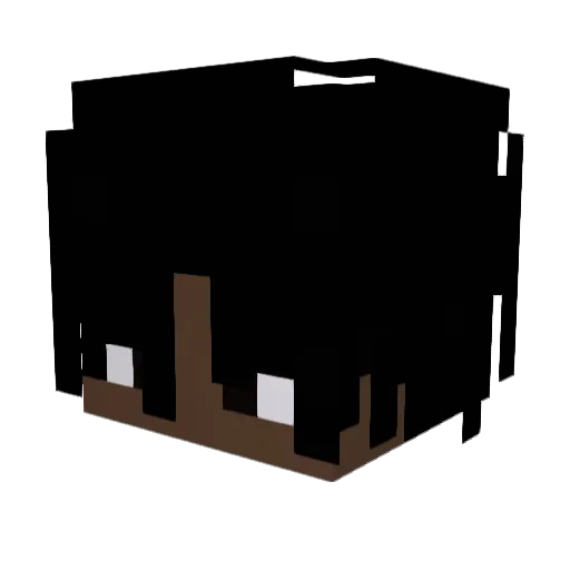 ImNotADuck Minecraft avatar head, 3D render