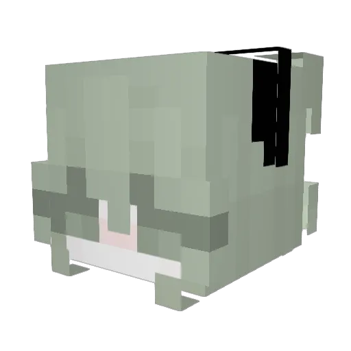 ImNotAFurryUwU Minecraft avatar head, 3D render