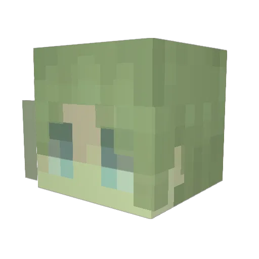 ImNotATurtle6 Minecraft avatar head, 3D render