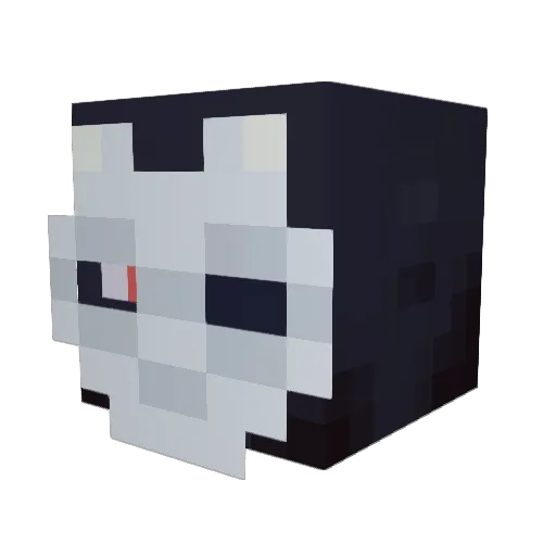 ImNotAngel14 Minecraft avatar head, 3D render