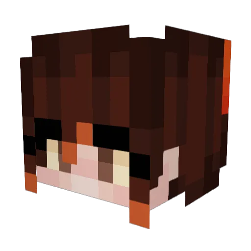 ImNotBotting Minecraft avatar head, 3D render