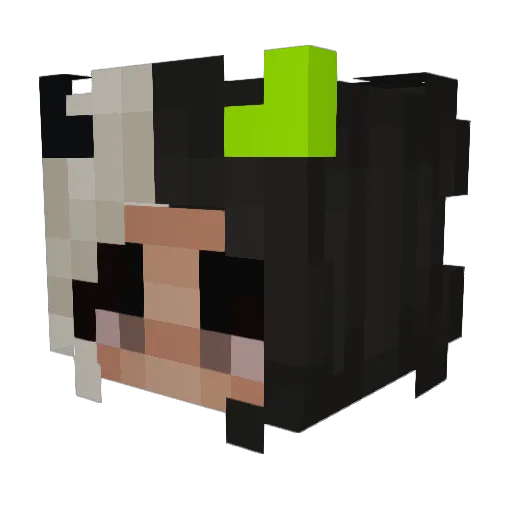 ImNotGamerZT Minecraft avatar head, 3D render