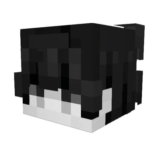 ImNotLostDuh Minecraft avatar head, 3D render