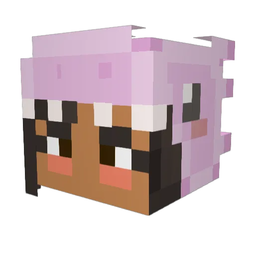 ImNotMouz Minecraft avatar head, 3D render