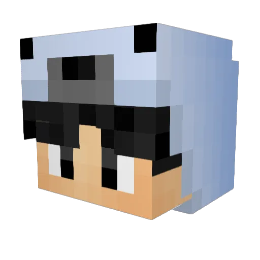 ImNotPJ Minecraft avatar head, 3D render