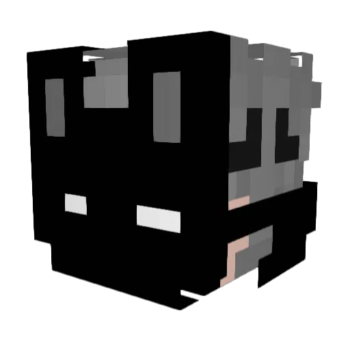 ImNotReal_ Minecraft avatar head, 3D render