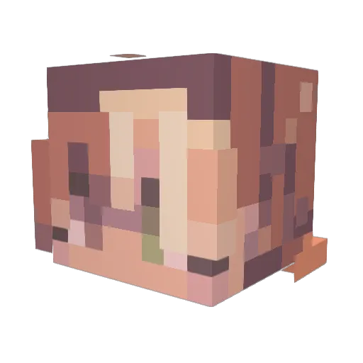 ImNotRiley_ Minecraft avatar head, 3D render