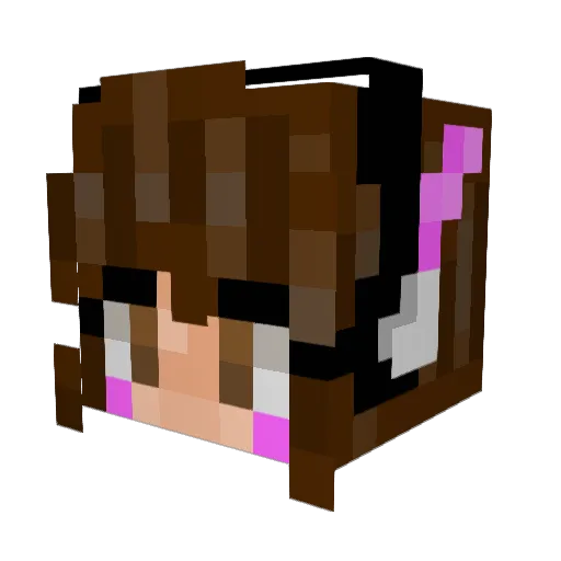 ImNotSpecial_ Minecraft avatar head, 3D render