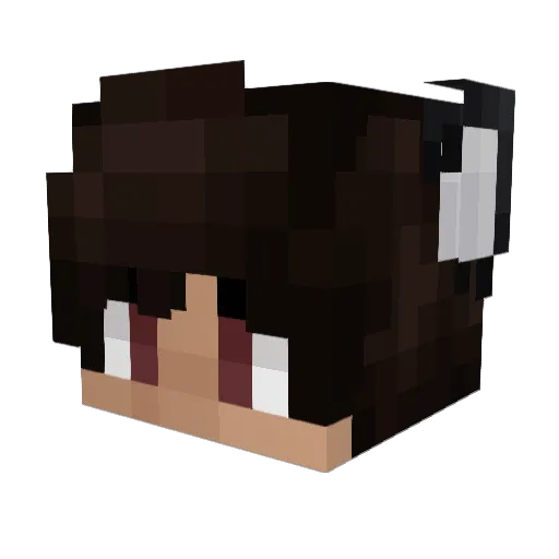 ImNotWinter Minecraft avatar head, 3D render
