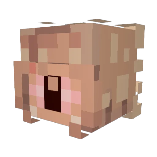 ImNumberJuno Minecraft avatar head, 3D render