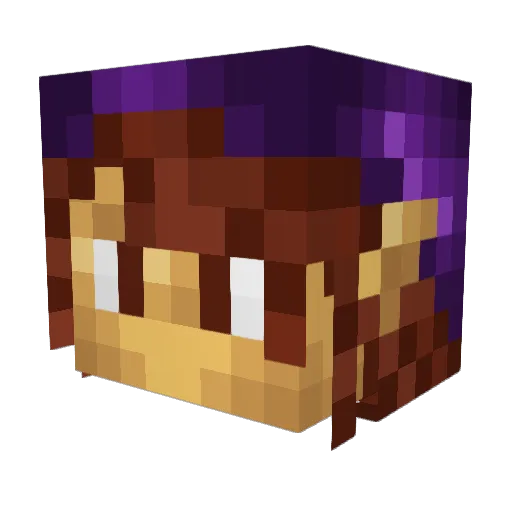 ImOnlyReii Minecraft avatar head, 3D render