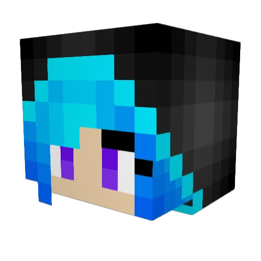 ImOnlyUsePWR Minecraft avatar head, 3D render