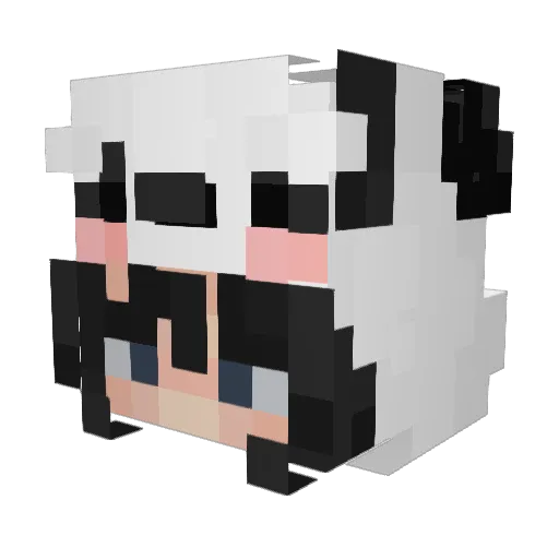 ImPanditaa Minecraft avatar head, 3D render