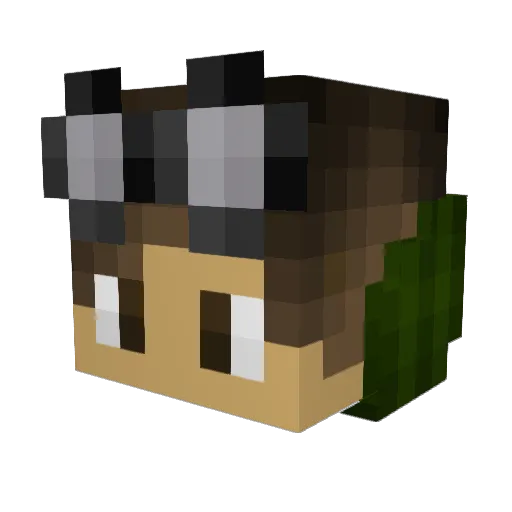 ImPeace07 Minecraft avatar head, 3D render