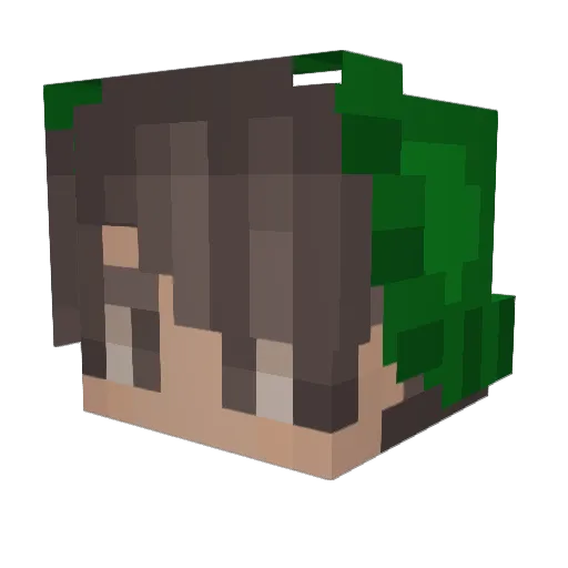 ImPenguin_ Minecraft avatar head, 3D render
