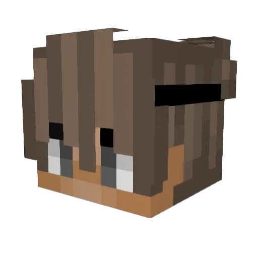 ImRae Minecraft avatar head, 3D render