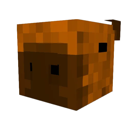 ImRanderr Minecraft avatar head, 3D render