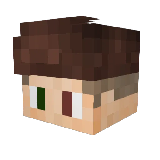 ImRegulator Minecraft avatar head, 3D render