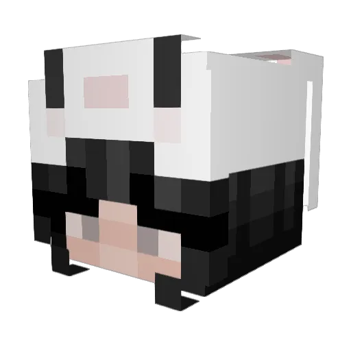 ImSiimpleGamer Minecraft avatar head, 3D render