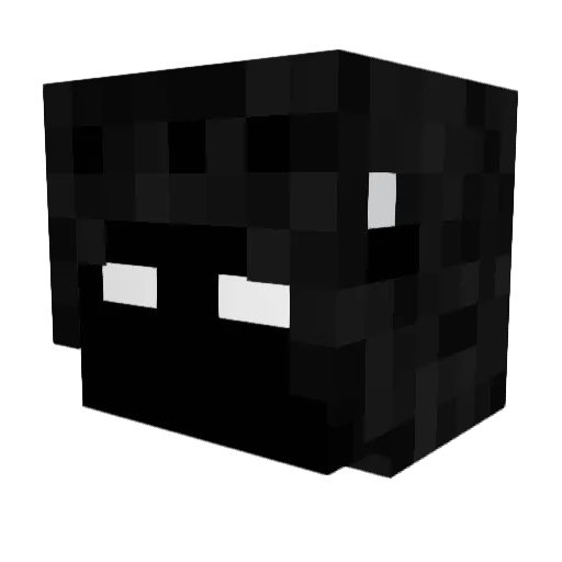 ImSmarterThanYou Minecraft avatar head, 3D render