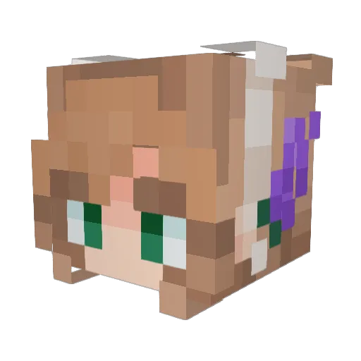 ImSnowflake Minecraft avatar head, 3D render
