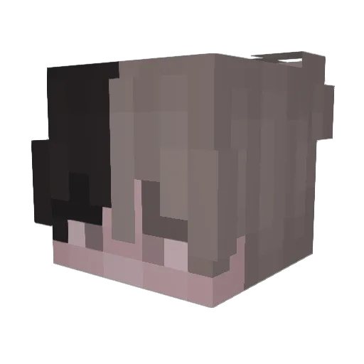 ImStro Minecraft avatar head, 3D render