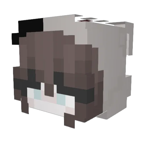 ImT1red2 Minecraft avatar head, 3D render