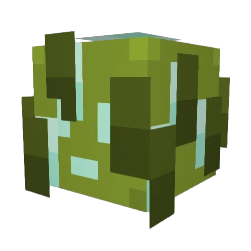 ImTheBard44 Minecraft avatar head, 3D render