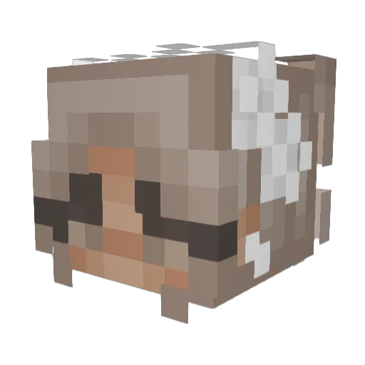 ImTheBride Minecraft avatar head, 3D render