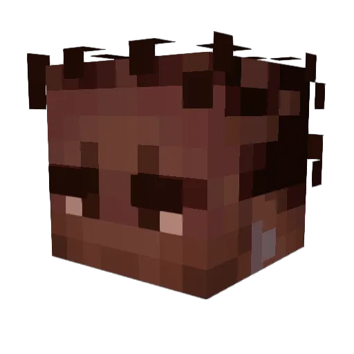 ImTheMikeCraft Minecraft avatar head, 3D render