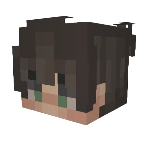 ImTom_ Minecraft avatar head, 3D render