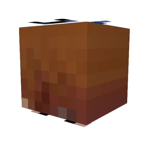 ImTongTong Minecraft avatar head, 3D render