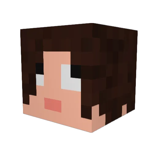 ImVaultBoy111 Minecraft avatar head, 3D render