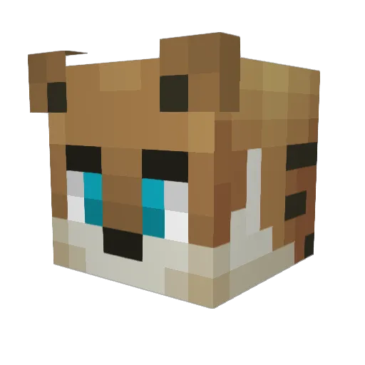 ImVerox_ Minecraft avatar head, 3D render