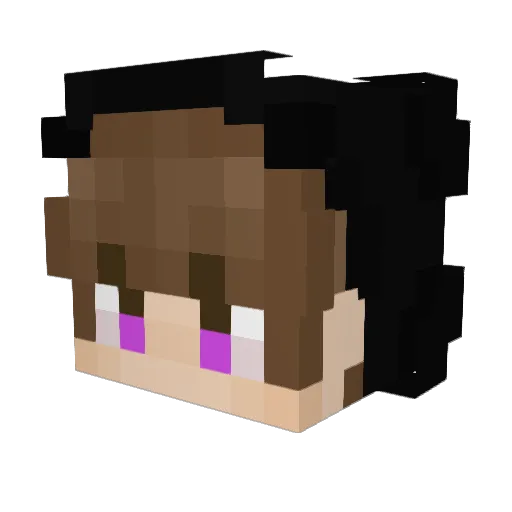 ImVoided Minecraft avatar head, 3D render