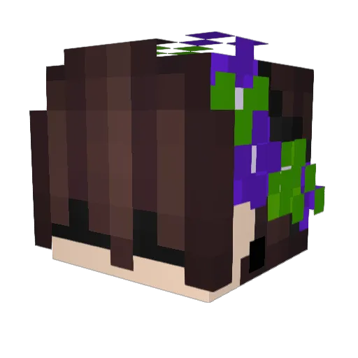 ImWarn Minecraft avatar head, 3D render