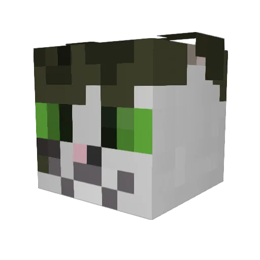 ImWeakerThanU Minecraft avatar head, 3D render