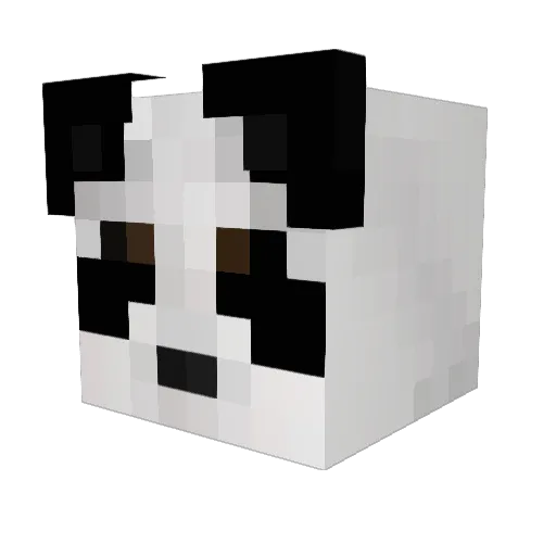 ImWillPlaysMC_ Minecraft avatar head, 3D render