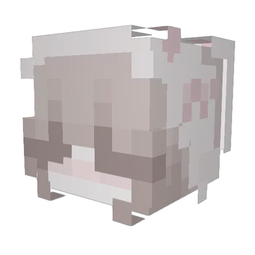 ImXiaCi Minecraft avatar head, 3D render