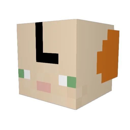 ImYourRealCousin Minecraft avatar head, 3D render