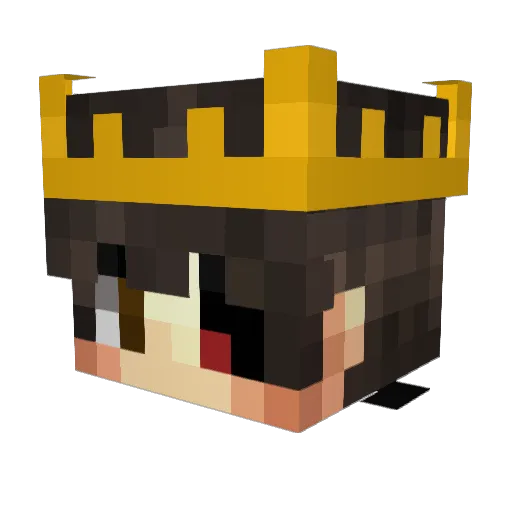 Im_Baby_Shadixs Minecraft avatar head, 3D render