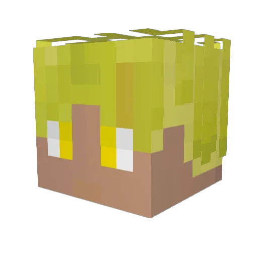 Im_Enough Minecraft avatar head, 3D render