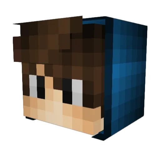 Im_Flomi Minecraft avatar head, 3D render