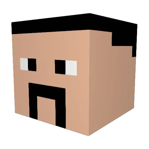 Im_Holy_Noob Minecraft avatar head, 3D render