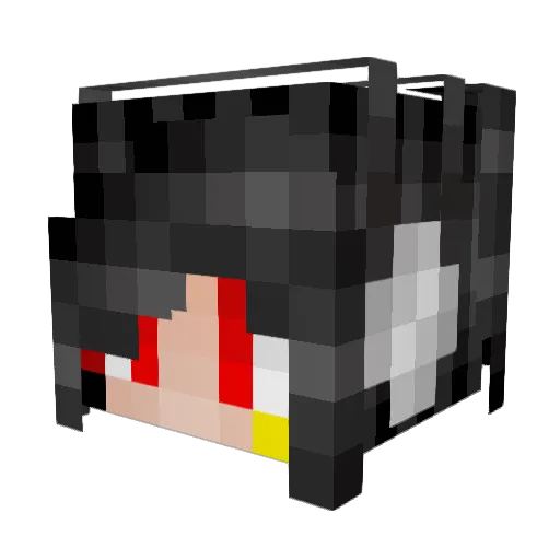 Im_Ninja66 Minecraft avatar head, 3D render
