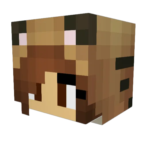 Im_Your_Waifu Minecraft avatar head, 3D render