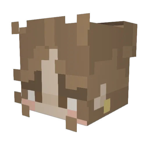 Ima883 Minecraft avatar head, 3D render