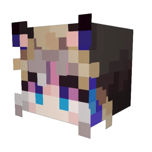 ImaCat42 Minecraft avatar head, 3D render