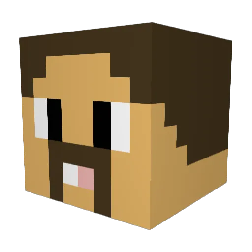 ImaNotSoNiceGuy Minecraft avatar head, 3D render
